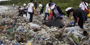 Les îles de déchets plastiques tuent 1,5 million d'animaux par an