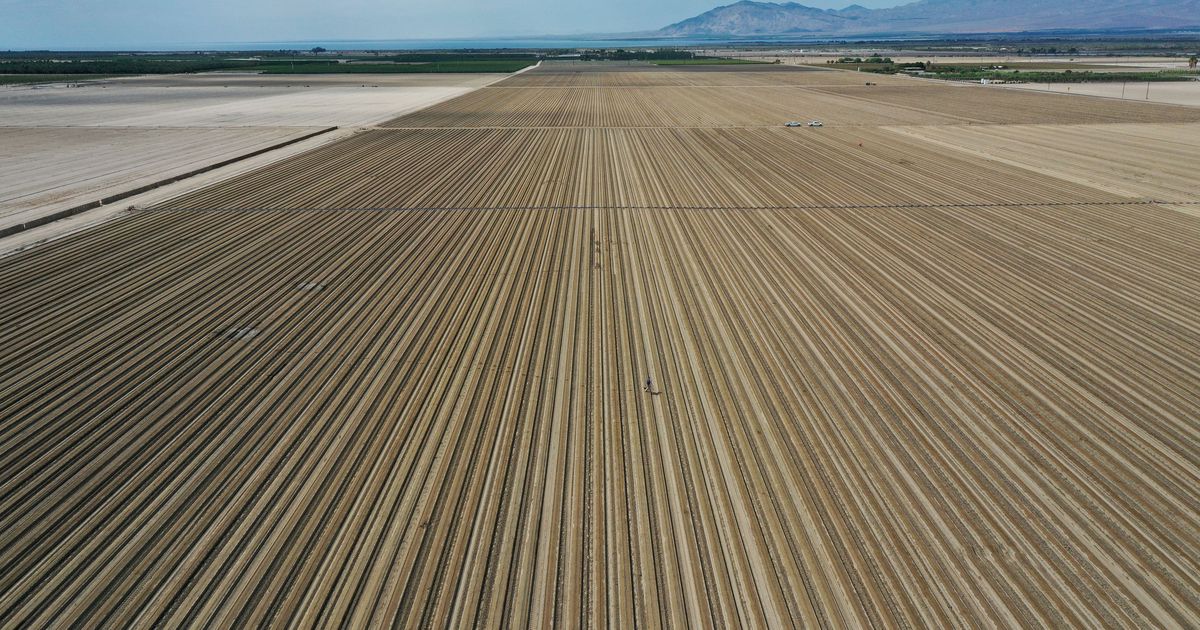 Douches courtes et arrosage proscrit: la Californie tente de réduire sa consommation d’eau