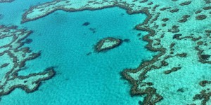 Grande Barrière de corail : des scientifiques australiens alertent sur des perspectives «très mauvaises»