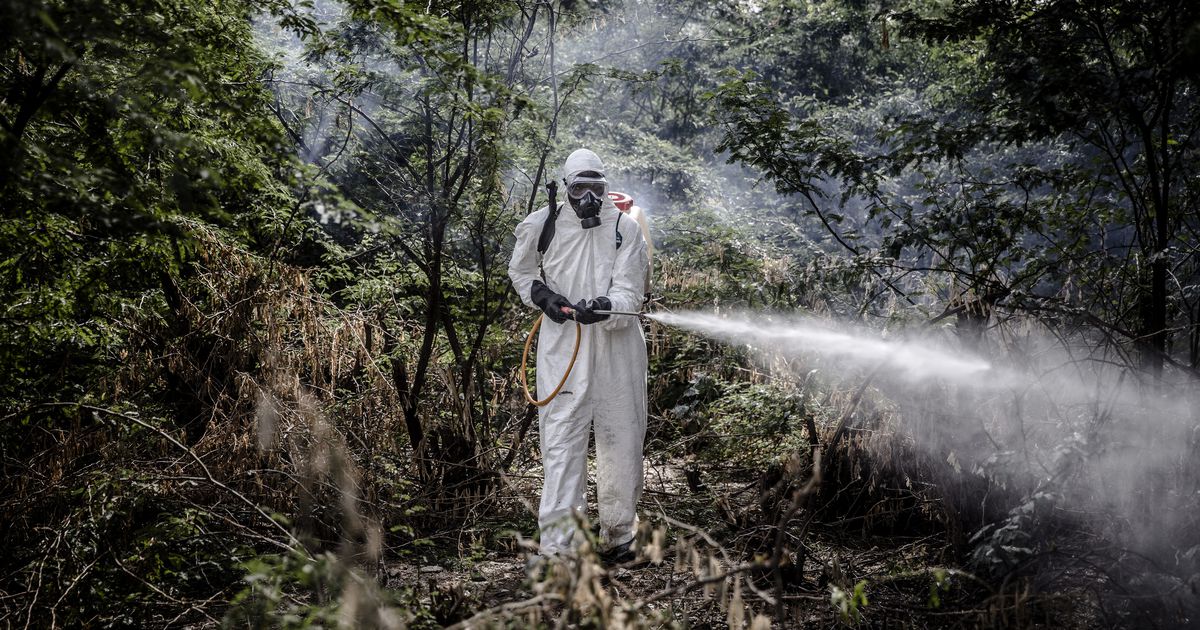 Pesticides : un trou béant de plus dans la raquette des analyses réglementaires !