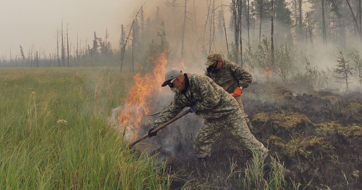 La saison des incendies ravage la Sibérie