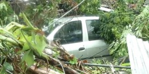 Cyclone Bejisa : alerte rouge levée, un mort à la Réunion