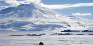 Nouvel échec des négociations sur la protection de l'Antarctique