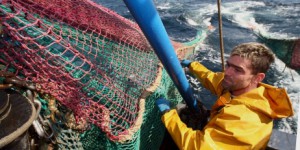 Le Parlement européen n'interdit pas la pêche en eaux profondes 
