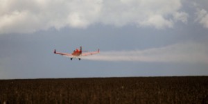 Pesticides : l'appel des médecins contre leur dangerosité
