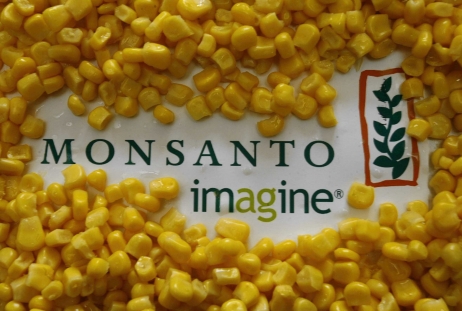 Les pro-OGM remportent une bataille au Sénat
