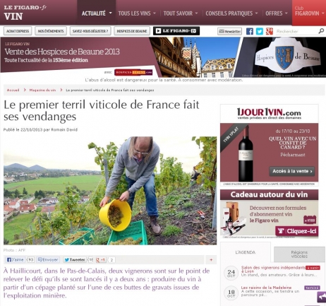 La vigne sur le terril : les premières vendanges du premier terril viticole du Nord