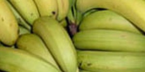Alerte sur la banane et l'orange
