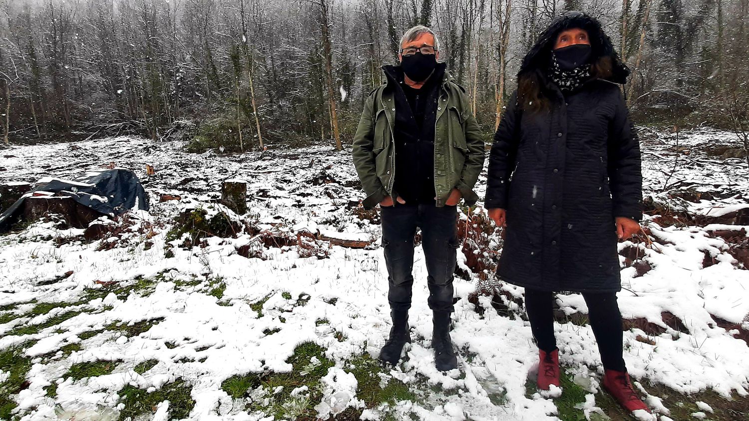 'C'est un désastre' : en Ariège, l'enquête se poursuit après l'abattage illégal de centaines d'arbres