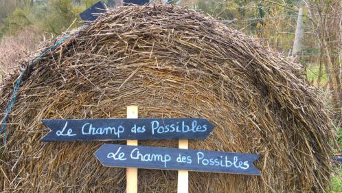 Jardin. 'Le Champ des Possibles', une ferme urbaine à Rouen