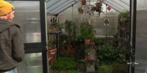 Lyon : la SPA des plantes lutte contre le gaspillage des végétaux