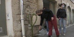 Valence : les habitants et la mairie font équipe pour végétaliser la ville