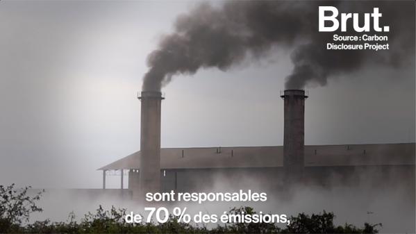 VIDEO. Loi climat : quid de la responsabilité des entreprises ?