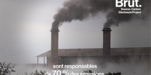 VIDEO. Loi climat : quid de la responsabilité des entreprises ?