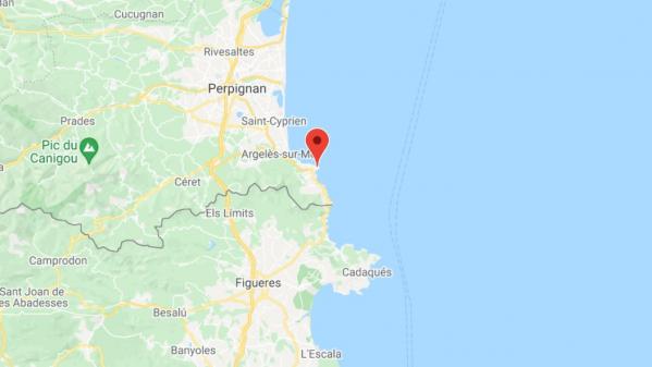 Une baleine grise perdue en Méditerranée escortée par des sauveteurs français vers l'Espagne
