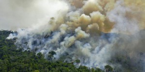 Brésil : déforestation record en avril en Amazonie