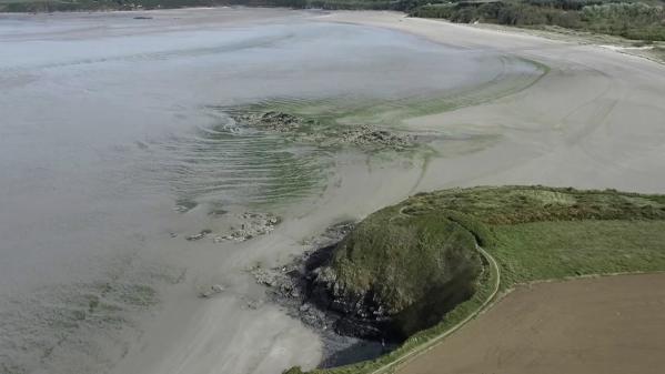 Écologie : le fléau des algues vertes en Bretagne