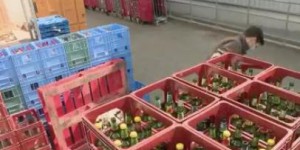 Écologie : l'Alsace, championne de la consigne des bouteilles en verre