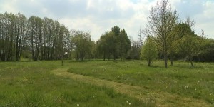 Écologique et économique, un village de l’Orne choisit l’éco-tonte pour entretenir ses espaces verts