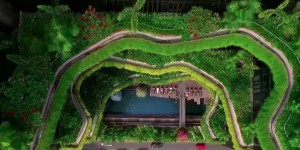 Singapour : le pari de la 'nation verte' pour lutter contre le réchauffement climatique