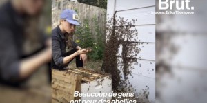 VIDEO. 'Nous dépendons tellement d'elles' : elle consacre sa vie au sauvetage des abeilles