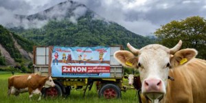 Environnement : les Suisses rejettent l'interdiction des pesticides de synthèse