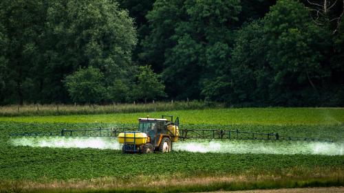 Le lien entre pesticides et six maladies graves, dont certains cancers, se précise, selon l'Inserm