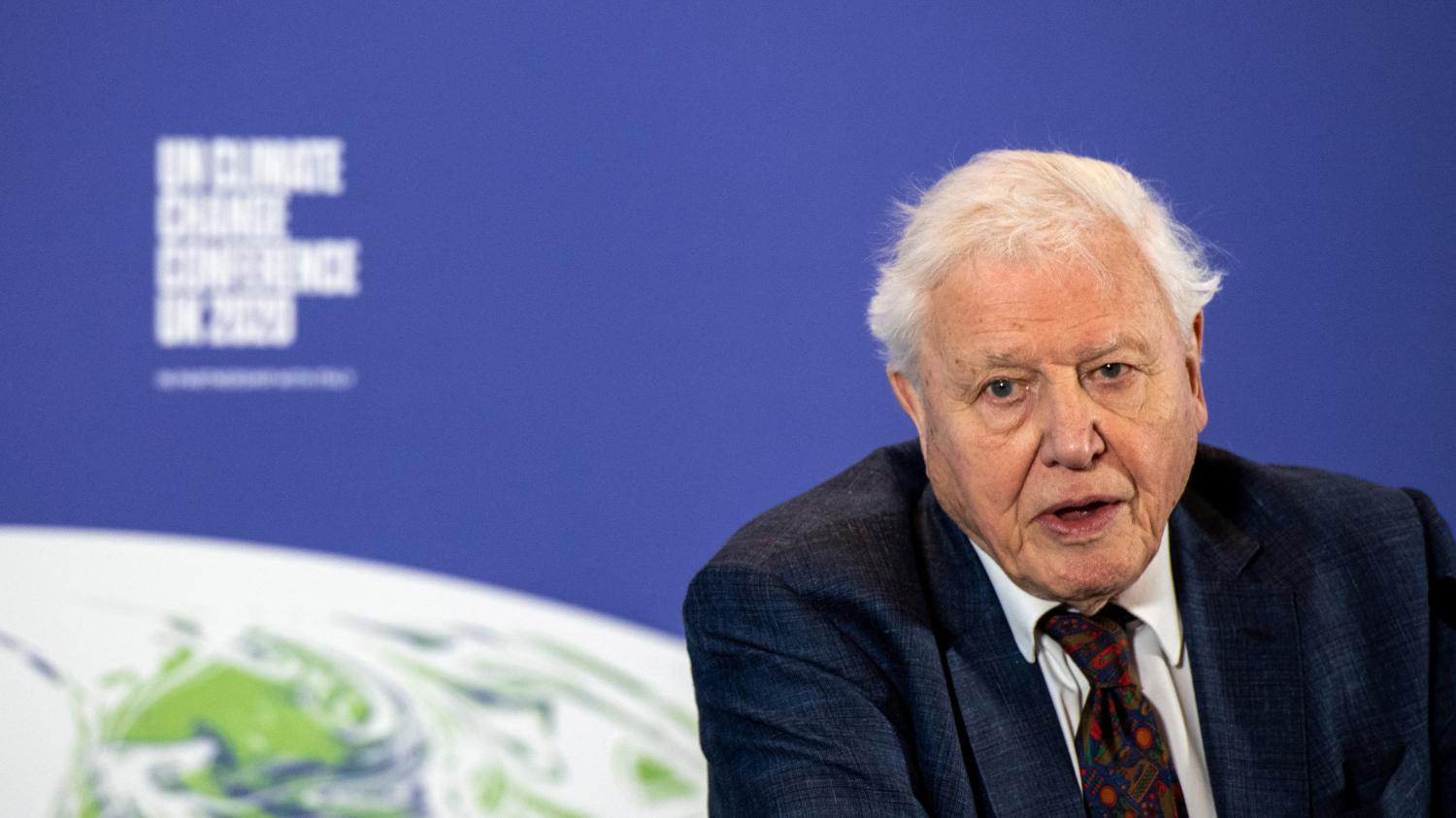 Le naturaliste David Attenborough, 95 ans, exhorte le G7 à agir sur le climat : 'Tout ce qui manque, c’est la volonté'