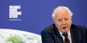 Le naturaliste David Attenborough, 95 ans, exhorte le G7 à agir sur le climat : 'Tout ce qui manque, c’est la volonté'