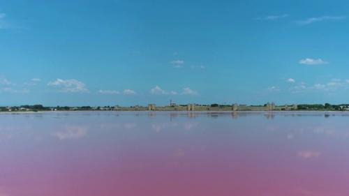 Salins du Midi : un marais où l'on voit la vie en rose