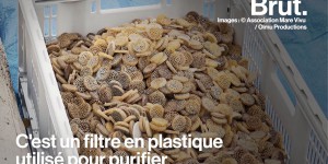 VIDEO. Les biomédias, cette pollution plastique peu connue qui inquiète les associations