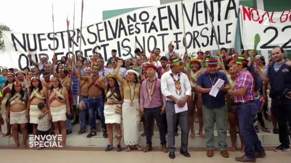 VIDEO. Défense de la forêt amazonienne : comment les Indiens waorani ont gagné contre l'industrie pétrolière