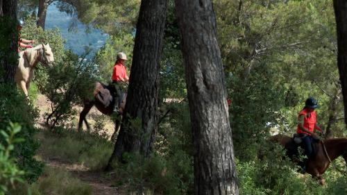 Dans les Bouches-du-Rhône, des adolescents bénévoles pour surveiller les départs de feu