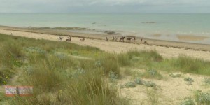 Manche : une association sensibilise à l'érosion de la dune de Gouville-sur-Mer