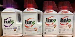 Cancers liés au Roundup : le groupe Bayer perd de nouveau en appel aux Etats-Unis