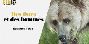 '13h15 le dimanche'. Des ours et des hommes > Episodes 3 & 4