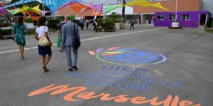Congrès mondial de la nature à Marseille : 'On est en train de perdre toute notre diversité à grande allure', alerte un écologue
