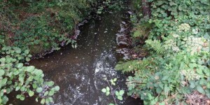 Ille-et-Vilaine : un cours d'eau pollué depuis près un mois entre Melesse et Betton