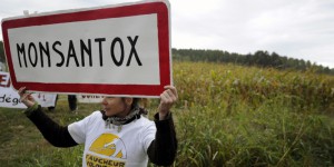 Monsanto se met au bio, Le Foll s'inquiète de ses intentions