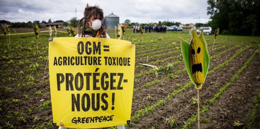 OGM : les Etats membres de l'UE pourront dire non