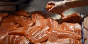 La vérité sur la couleur du saumon d'élevage