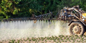 Pesticides : l'Etat et l'agrochimie suspectés d''homicide involontaire'