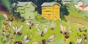 Bzzz.... Les pesticides tueurs d’abeilles dans le viseur des députés