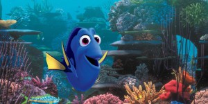 'Le Monde de Dory' : 'Si vous aimez le film, n'achetez pas de poissons chirurgiens'