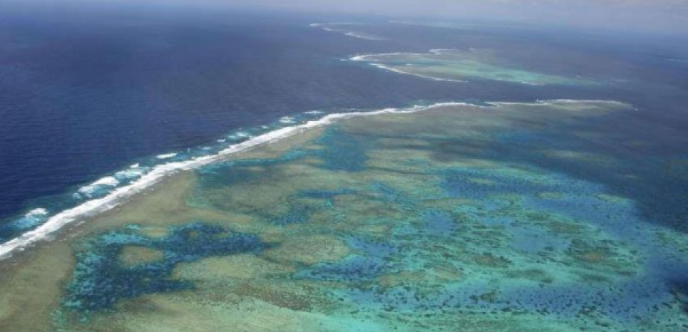 'La Grande barrière de corail est menacée : si on ne limite pas la pollution, elle mourra'