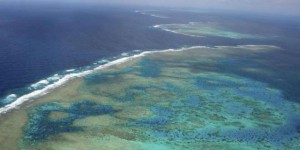 'La Grande barrière de corail est menacée : si on ne limite pas la pollution, elle mourra'