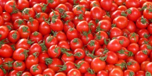 Concentré de tomate made in China : bienvenue dans la mondialisation dégueu !