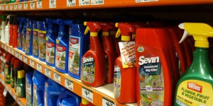 Vente de pesticides en libre-service : plus de 4 enseignes sur 10 en infraction