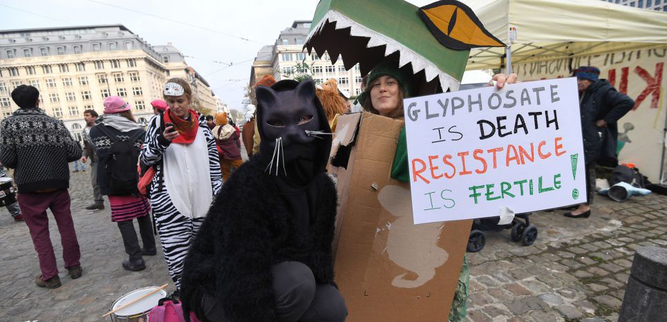 La France votera contre le renouvellement du glyphosate pour 5 ans