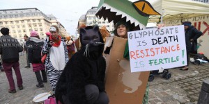 La France votera contre le renouvellement du glyphosate pour 5 ans